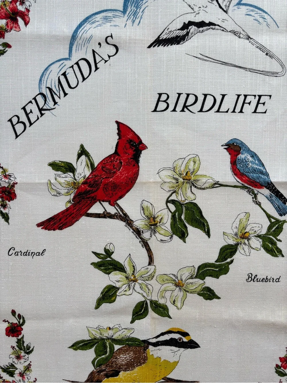Vintage Bermuda's Birdlife Linen Tea Towel Diane Whitaker Design